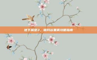 地下城堡3，银月谷黑雾攻略指南