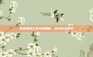 掌握暴风三弦琴的奥秘，成为游戏高手