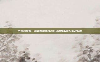 丐帮超级宏，游戏新版本核心玩法深度解析与实战攻略
