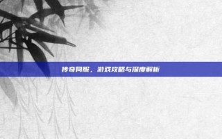 传奇伺服，游戏攻略与深度解析