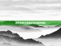 探索永恒之塔魔道星装备的奥秘