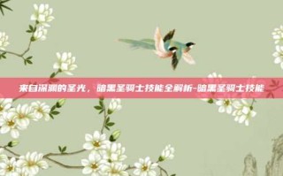 来自深渊的圣光，暗黑圣骑士技能全解析-暗黑圣骑士技能
