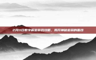 2月11日数字解密游戏攻略，揭开神秘密码的面纱