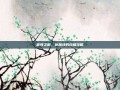 首领之傲，厄加特的终极攻略