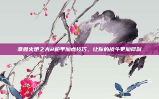 掌握火炬之光2枪手加点技巧，让你的战斗更加犀利