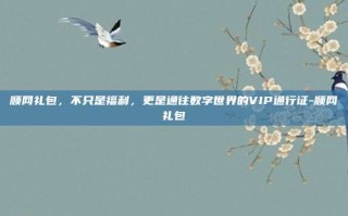 顺网礼包，不只是福利，更是通往数字世界的VIP通行证-顺网礼包