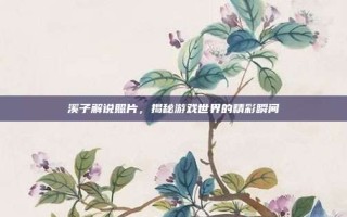 溪子解说照片，揭秘游戏世界的精彩瞬间