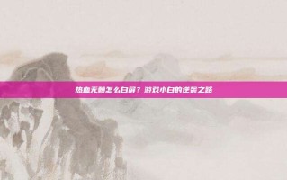 热血无赖怎么白屏？游戏小白的逆袭之路
