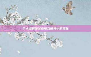 个人说明图案在游戏世界中的奥秘