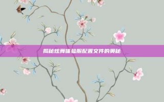 揭秘炫舞体验服配置文件的奥秘
