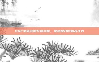 DNF龙跃武器升级攻略，快速提升你的战斗力