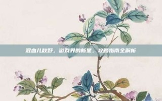 混血儿秋野，游戏界的新星，攻略指南全解析