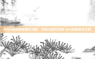DNF偷渡器使用全攻略，风险与操作详解-dnf偷渡器怎么用