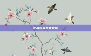 逆战设置声音攻略