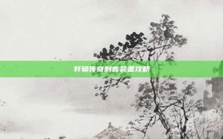 轩辕传奇刺客装备攻略