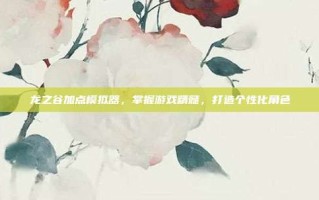 龙之谷加点模拟器，掌握游戏精髓，打造个性化角色