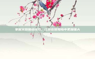 掌握火炮加点技巧，让你在冒险岛中更加强大