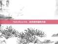 TGA.PLU.CN，游戏爱好者的天堂