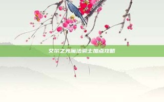 艾尔之光魔法骑士加点攻略