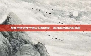 揭秘绝地求生中的立马加速器，游戏加速的秘密武器