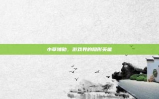 小草辅助，游戏界的隐形英雄