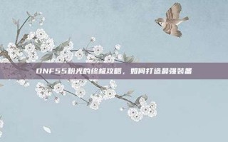 DNF55粉光的终极攻略，如何打造最强装备
