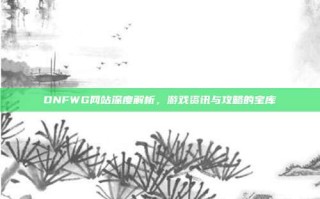 DNFWG网站深度解析，游戏资讯与攻略的宝库