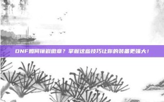 DNF如何镶嵌徽章？掌握这些技巧让你的装备更强大！
