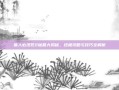 兽人必须死2秘籍大揭秘，终极攻略与技巧全解析