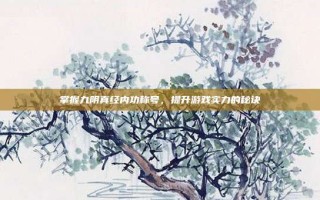 掌握九阴真经内功称号，提升游戏实力的秘诀