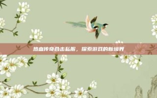 热血传奇合击私服，探索游戏的新境界
