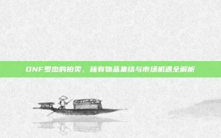 DNF罗杰的拍卖，稀有物品集结与市场机遇全解析