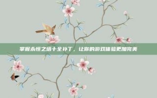 掌握永恒之塔十全补丁，让你的游戏体验更加完美