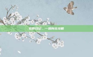 荒野日记，一路向北攻略