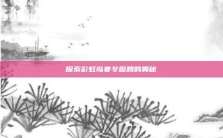 探索彩虹岛寒冬图腾的奥秘