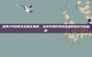 剑网3丐帮宏实战优化指南，从效率提升到玩法适配的全方位解析