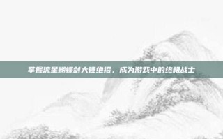 掌握流星蝴蝶剑大锤绝招，成为游戏中的终极战士