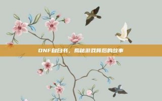 DNF自白书，揭秘游戏背后的故事