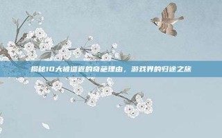 揭秘10大被遣返的奇葩理由，游戏界的归途之旅