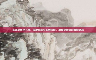 dnf小新补丁网，深度解析与实用攻略，助你把握游戏最新动态