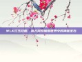 WLK红玉攻略，深入探索魔兽世界中的神秘宝石