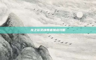 龙之谷灵魂舞者加点攻略