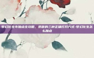 梦幻化生寺加点全攻略，奶爸的三种正确打开方式-梦幻化生怎么加点