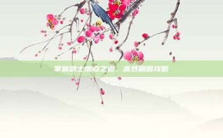 掌握剑士加点之道，高效刷图攻略