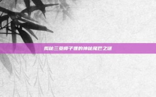 揭秘三亚椰子狸的神秘尾巴之谜