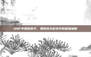 DNF中的憨憨牛，如何成为游戏中的最强辅助