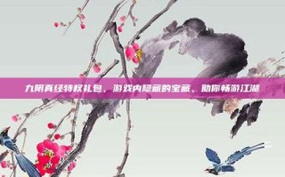 九阴真经特权礼包，游戏内隐藏的宝藏，助你畅游江湖