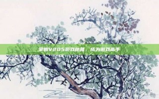 掌握V205游戏秘籍，成为游戏高手