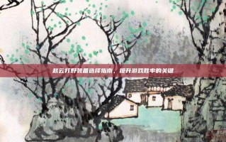 赵云打野装备选择指南，提升游戏胜率的关键