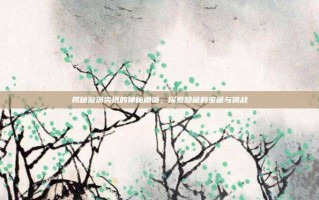 揭秘漩涡尖塔的神秘角落，探索隐藏的宝藏与挑战